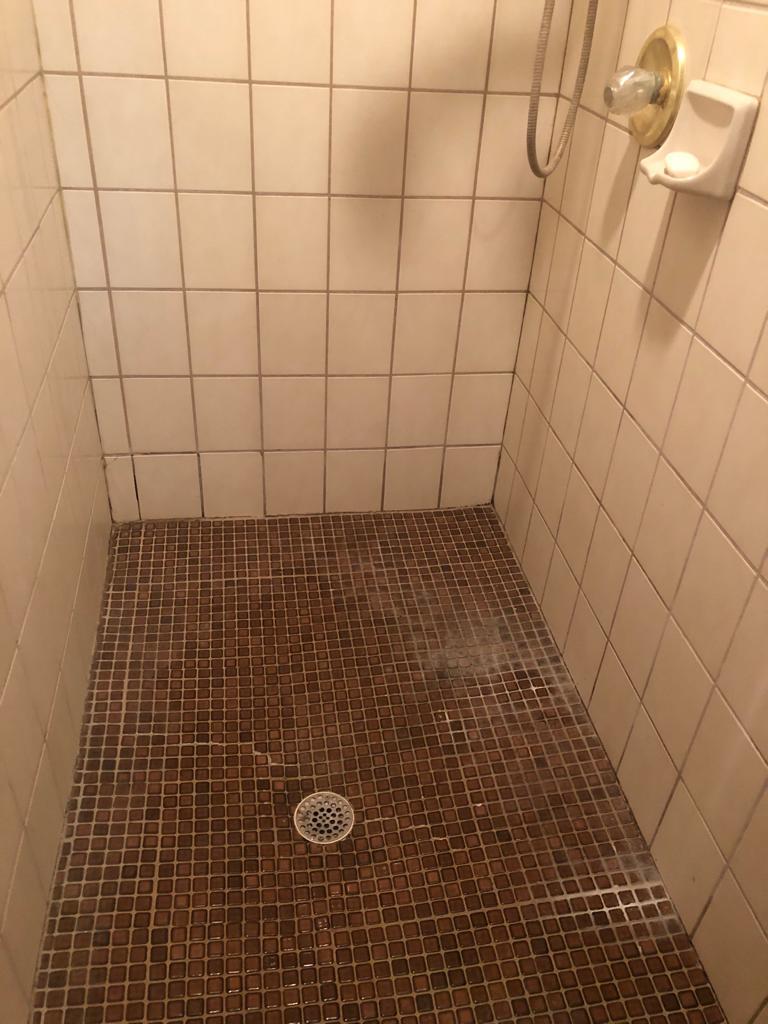 Dust Off to Perfection Image